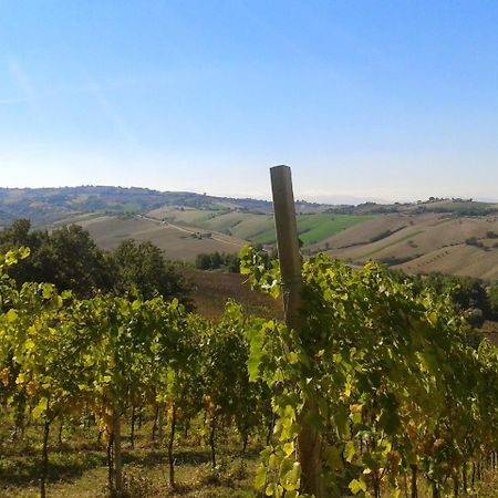 Agriturismo Le Vigne Fermo Ngoại thất bức ảnh