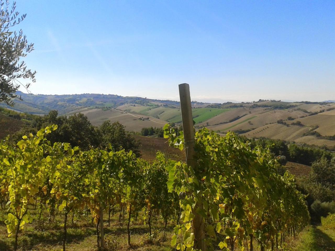 Agriturismo Le Vigne Fermo Ngoại thất bức ảnh