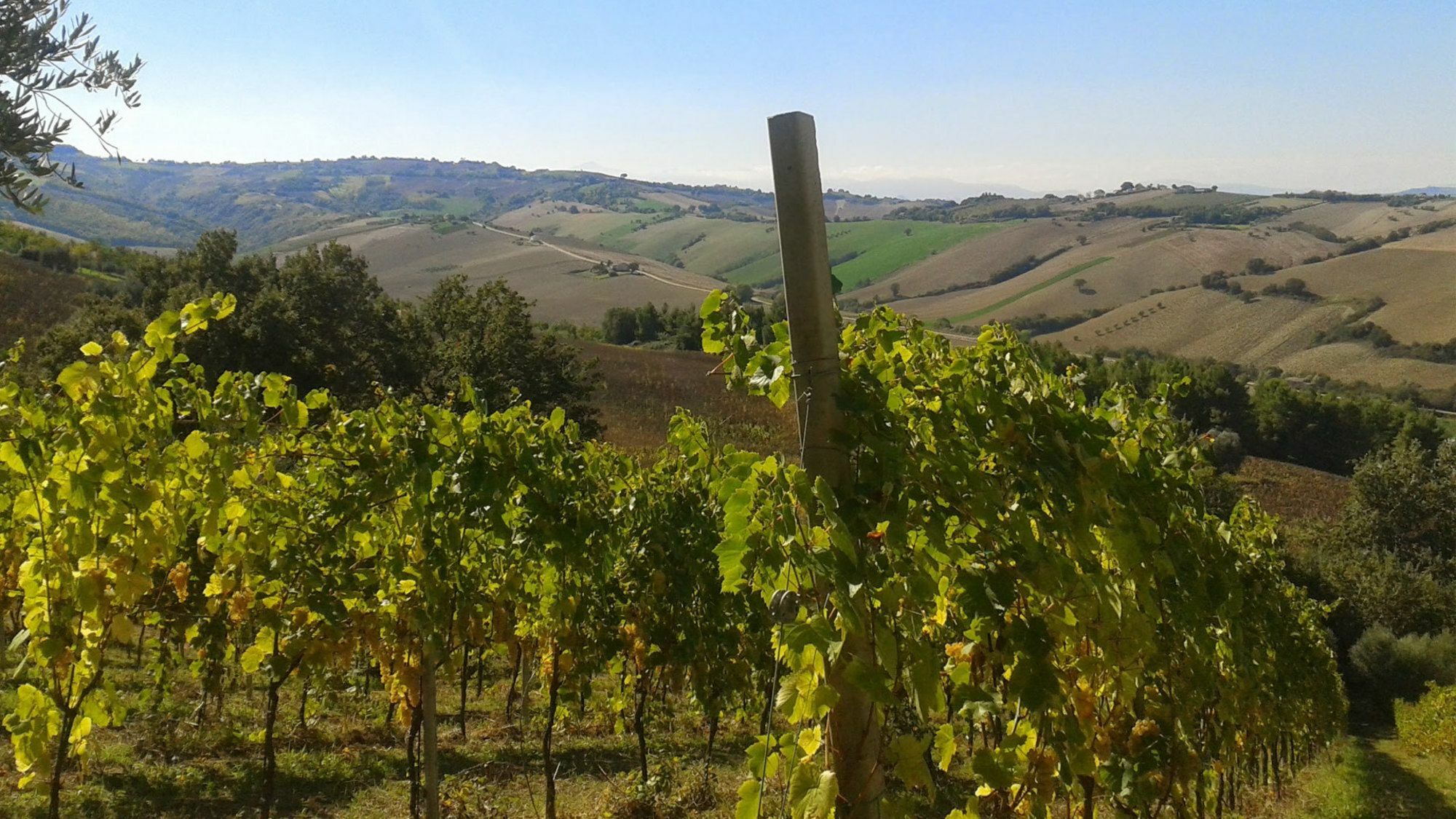 Agriturismo Le Vigne Fermo Ngoại thất bức ảnh